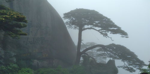 游猎风景 老熊与老伍的故事 新增版 一 竹林熊 中年 书连网 