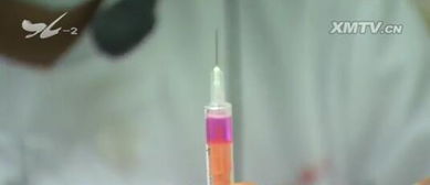 长生生物狂犬病疫苗涉嫌造假 厦门今年未使用涉事厂家疫苗