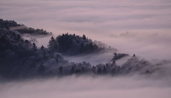 李峤的雪，诗意盎然的冬日景象，李峤的雪诗意