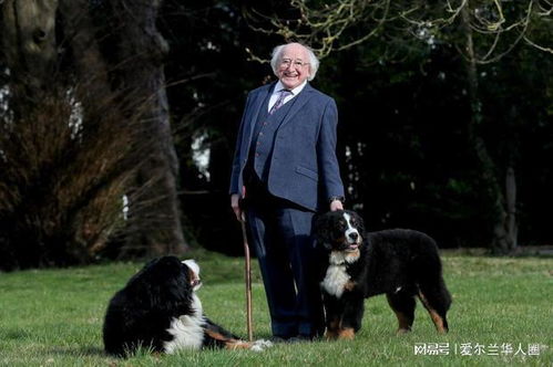 爱尔兰总统的爱犬去世,上周因冷落拜登的视频火遍全网