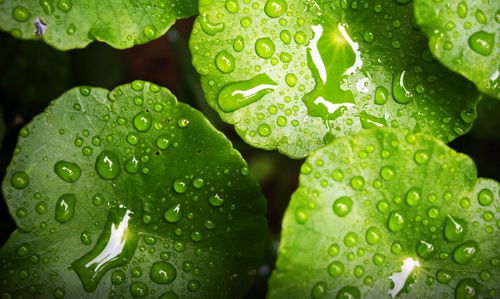 明天大雨 日照发布最新天气预报