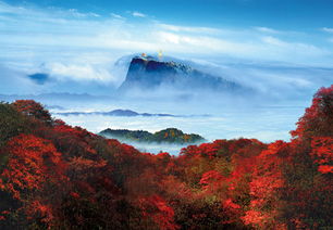 峨眉山旅游,什么时候去玩最好