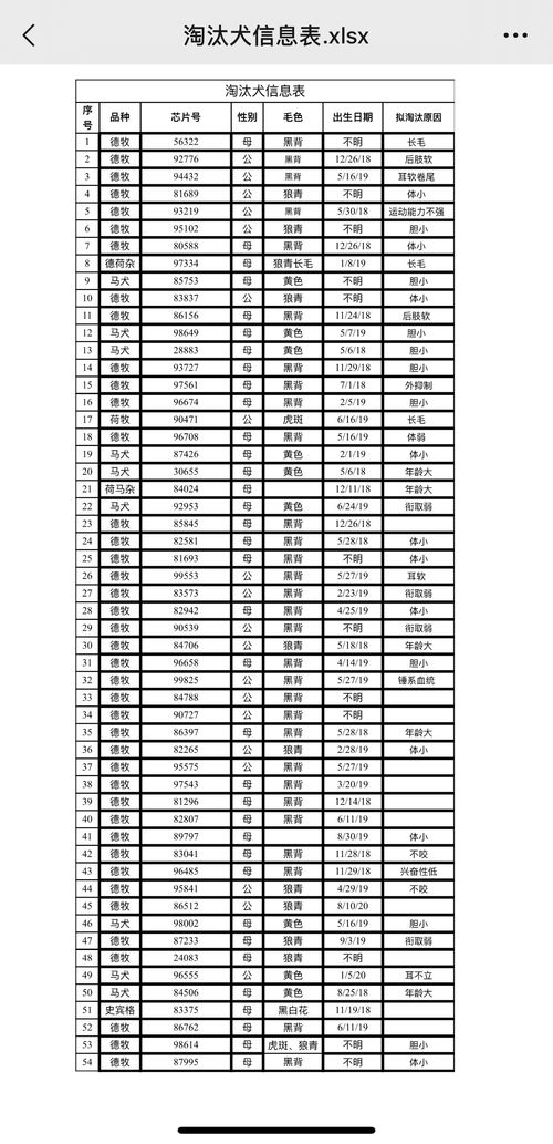 中国刑警学院竞售54只淘汰受训犬 含德牧等,要求不得弃养