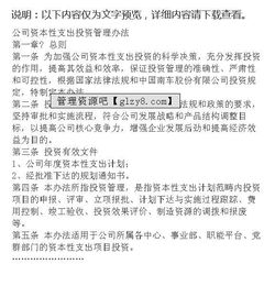 公司资本性支出投资管理办法