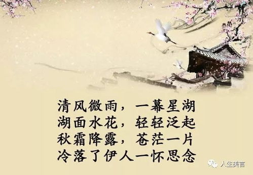 清秋明月,望尽天涯路,相思人断肠