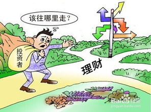 外汇交易，本金被黑了怎么办