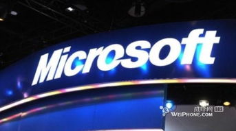 美国海外利润最高科技公司 微软第一名 