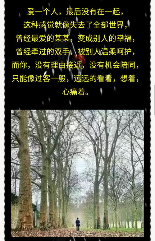 我们无缘在一起 送给相爱却无缘在一起的有缘人