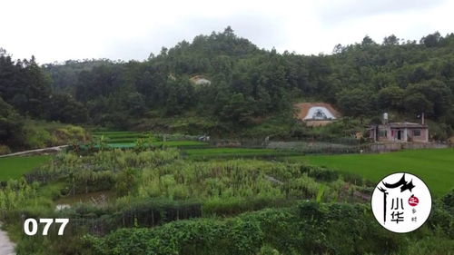 风水宝地,广西风水先生千里寻龙,风水宝地建房子80万,值不值 