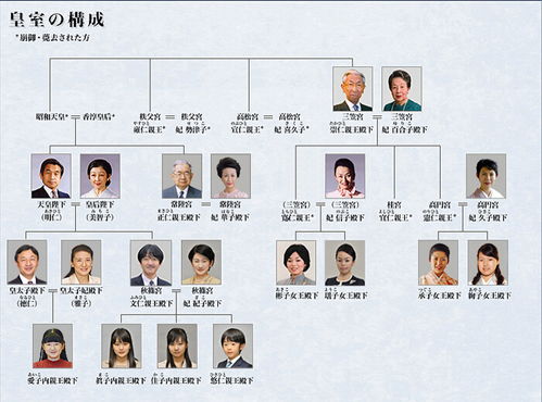 经 皇室会议 ,日本现任天皇退位时间确定为2019年4月30日 