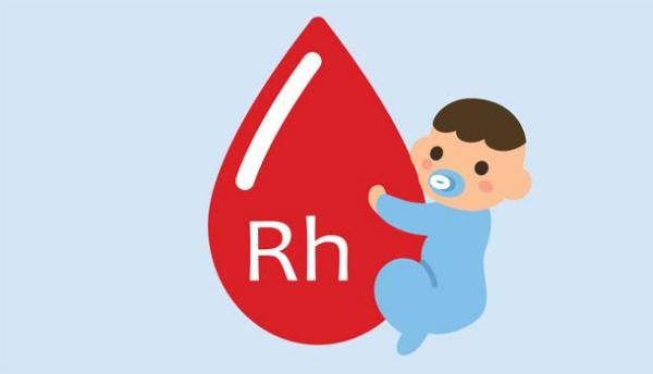 RH血型D阳性是什么意思 