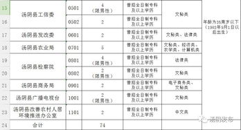 汤阴招聘74名劳务派遣工作人员公告