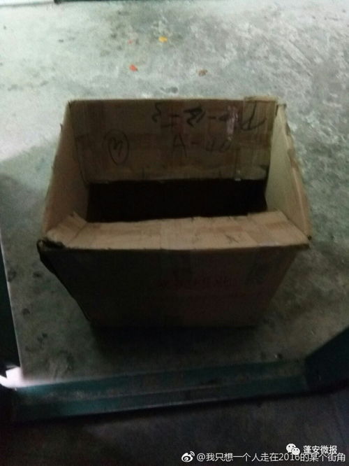蓬安二中学生搬迁,小店卖纸箱子3元一个,袋子15元一个