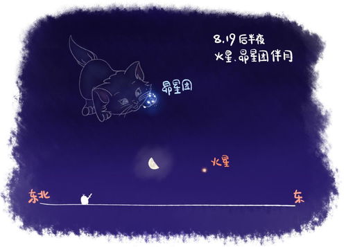 99年11月8日金星在什么星座,金星星座查询表