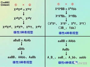 如何正确使用标点以避免查重问题