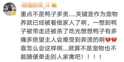 明星微博寻鸭,网友为这些事吵翻了,法律解读来了