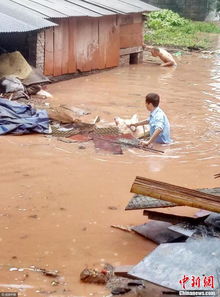 重庆暴雨养猪场被淹 村干部跳进水中转移生猪 