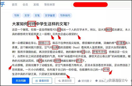 网友提问 这样的文笔到底算什么水平