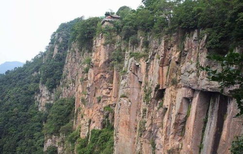 爸爸开车掉下悬崖,6岁女儿徒手爬12米高悬崖救出爸爸和弟弟 