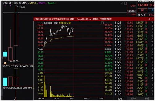 3开头的股票跌幅是多少