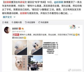 何洁董洁姚晨赵丽颖,女明星的话怎么越来越不可信