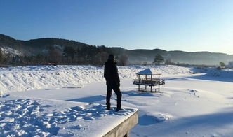 一路向北 最北漠河,体验冰雪世界 玩转零下40度 寒冷漠河 漠河游记 