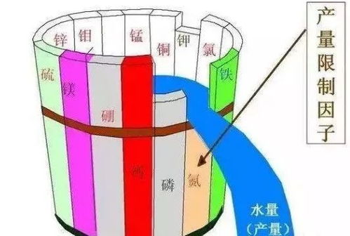 告急 我国一半的土壤缺中微量元素 别再只上氮磷钾了