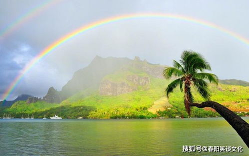 适合鼓励自己的心灵鸡汤句子,积极向上,振奋人心