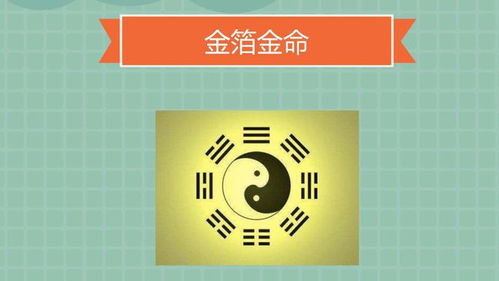 63,75,87,99年生肖兔,6月 财运,事业,感情运解析 贵人运 卯木 事业运 网易订阅 