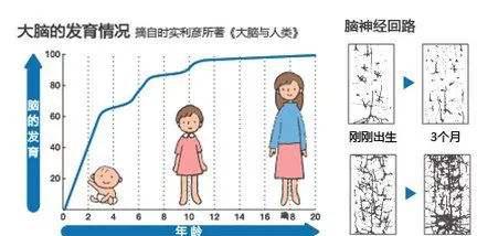 研究证明 睡眠质量与大脑成熟有关,娃做梦频繁会影响大脑发育