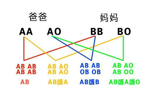 妈妈是O型血,宝宝不会是AB型血,这些血型遗传规律你知道吗