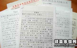 表扬信范文大全;孩子表扬信范文50字