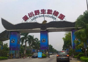 深圳野生动物园攻略