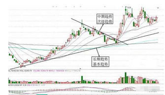 明天吉鑫科技股票走势如何