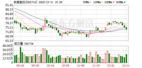 在上海、深圳两大证券交易所挂牌交易过的股票一共有几只