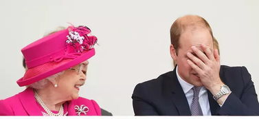 都说英国王室起名很讲究,私下起的外号却没眼看 宠物狗 Gary 都skr啥