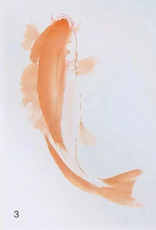 图文教程 鲤鱼的各种画法