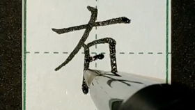 练字日常, 农 字的写法 可以 Q群一起学习练字713469410