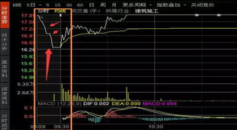 股票从成交金额如何选股