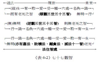 心 慧解脱篇 六 四圣谛 八正道与十二缘起之关系 无量光明佛教网 