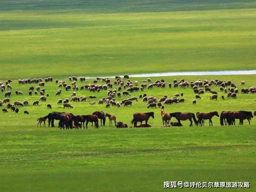 内蒙古呼伦贝尔地区有什么好点的建筑公司