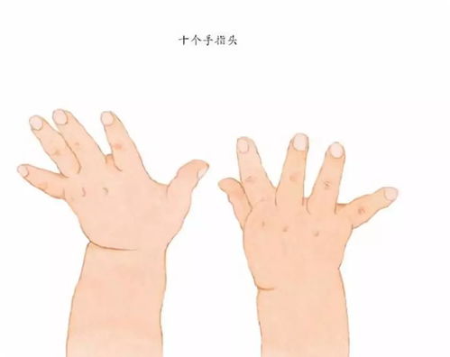 十个手指头和十个脚趾头 推荐0 2岁宝宝 