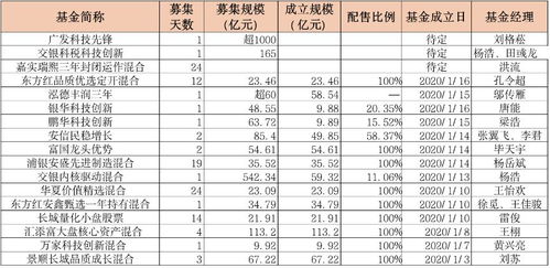 一天吸金或达1000亿 冠军基金经理遭 疯抢 ,新基金销售进入 网红 时代