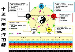 阴阳五行