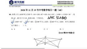 满分必会 初中数学几何模型角平分线专题第四讲