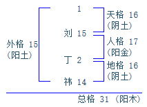 女孩刘丁祎姓名打分 