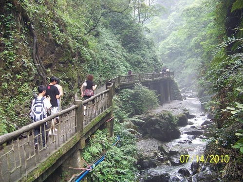 四川乐山黑龙江栈道