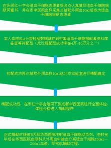 捐献造血干细胞的条件是什么过程是什么样的，痛苦吗(捐献造血干细胞的常识)