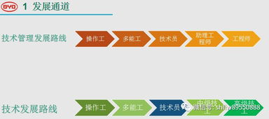 比亚迪汽车股份有限公司待遇怎么样