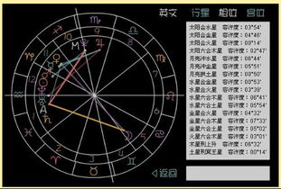 求高手来帮我解星盘啊